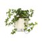 vaso auto irrigavel reciclado n4 21 x 19 cm colecao terrazo raiz cor calcario 2
