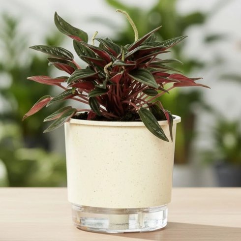 vaso auto irrigavel reciclado n4 21 x 19 cm colecao terrazo raiz cor calcario 3