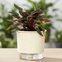vaso auto irrigavel reciclado n4 21 x 19 cm colecao terrazo raiz cor calcario 3