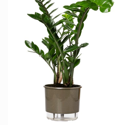 vaso auto irrigavel reciclado n4 21 x 19 cm colecao terrazo raiz cor basalto 2
