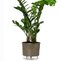 vaso auto irrigavel reciclado n4 21 x 19 cm colecao terrazo raiz cor basalto 2