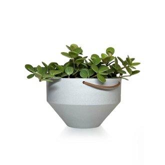Vaso Cuia SAN 6 Diamantado Raiz Cor