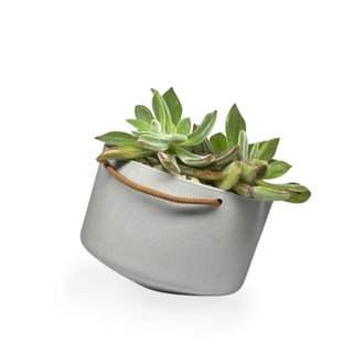 Vaso SAN 4 Inclinado Raiz Cor