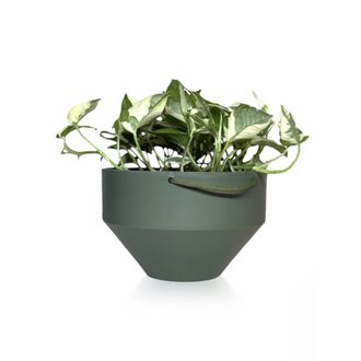 Vaso Cuia SAN 6 Diamantado Raiz Cor