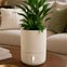 vaso brota urbi g 40 x 33 areia 3
