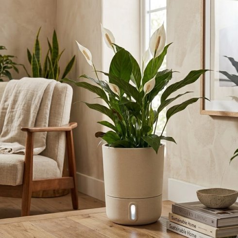 vaso brota urbi g 40 x 33 areia ambientada