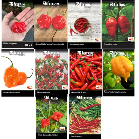 kit sementes de pimentas exoticas feltrin 7